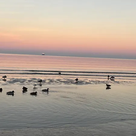 Gudrun - 569 Mit Eigener Sauna, Dachterrasse, Kleiner Meerblick Apartament *